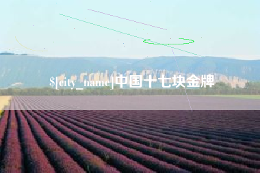 白山中国十七块金牌