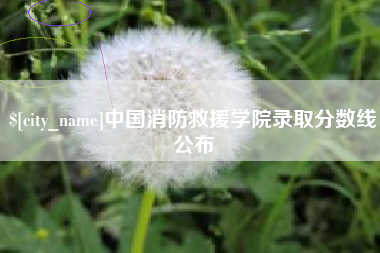 白山中国消防救援学院录取分数线公布