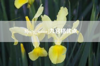 白山九宫格优点