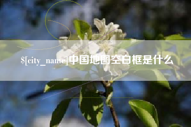白山中国地图空白框是什么