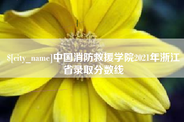 白山中国消防救援学院2021年浙江省录取分数线