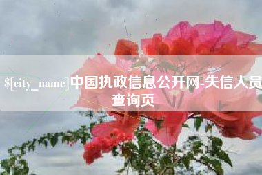 白山中国执政信息公开网-失信人员查询页
