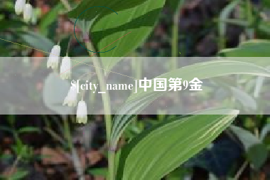 白山中国第9金