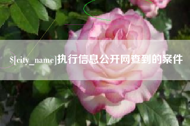 白山执行信息公开网查到的案件