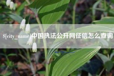 白山中国执法公开网征信怎么查询