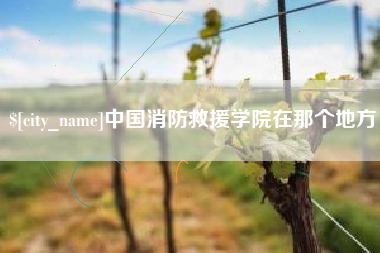 白山中国消防救援学院在那个地方