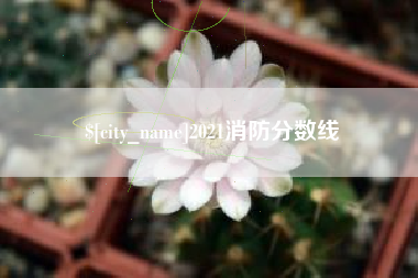白山2021消防分数线