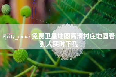 白山免费卫星地图高清村庄地图看到人实时下载
