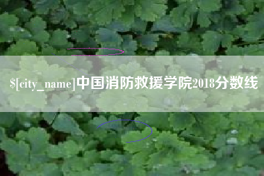 白山中国消防救援学院2018分数线