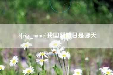 白山我国消防日是哪天