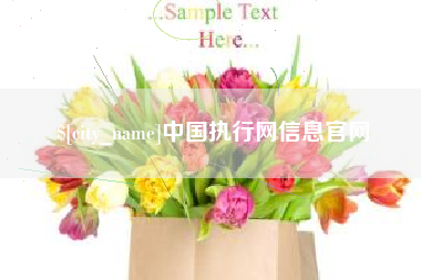 白山中国执行网信息官网