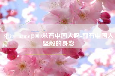 白山5000米有中国人吗-都有中国人坚毅的身影