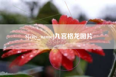 白山九宫格龙图片