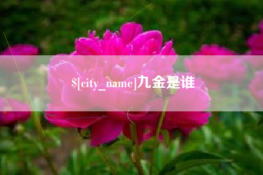 白山九金是谁