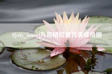 白山九宫格位置代表成员图