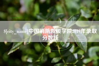 白山中国消防救援学院2019年录取分数线