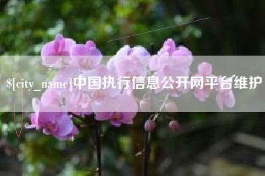 白山中国执行信息公开网平台维护