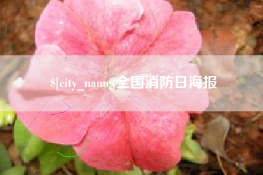 白山全国消防日海报
