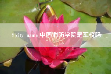 白山中国消防学院是军校吗