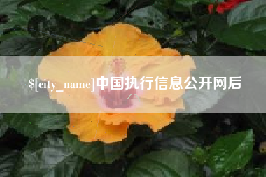 白山中国执行信息公开网后