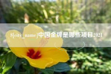 白山中国金牌是哪些项目2021