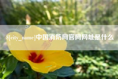 白山中国消防网官网网址是什么