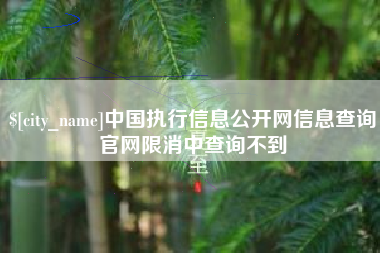 白山中国执行信息公开网信息查询官网限消中查询不到