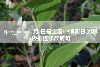白山11月9日是全国119消防日,为积极推进修改病句