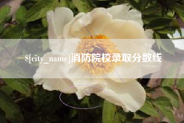 白山消防院校录取分数线