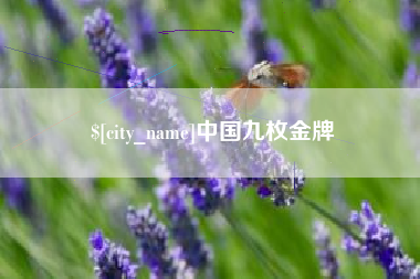 白山中国九枚金牌
