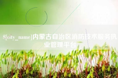白山内蒙古自治区消防技术服务执业管理平台