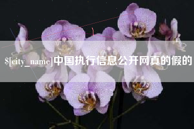 白山中国执行信息公开网真的假的