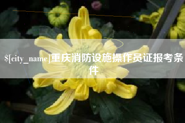 白山重庆消防设施操作员证报考条件