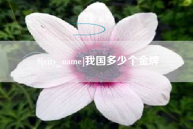 白山我国多少个金牌