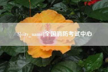 白山全国消防考试中心