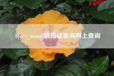 白山消防证查询网上查询