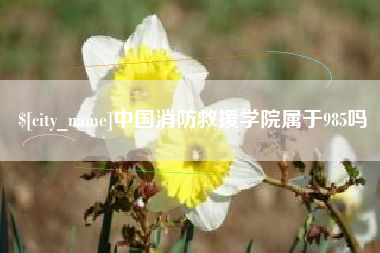 白山中国消防救援学院属于985吗