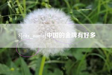白山中国的金牌有好多