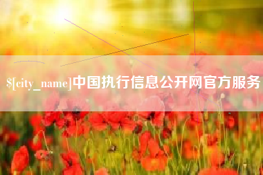 白山中国执行信息公开网官方服务