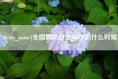 白山全国消防日是每年的什么时候
