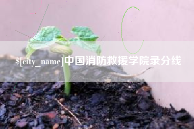 白山中国消防救援学院录分线