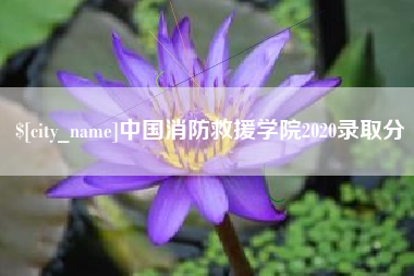 白山中国消防救援学院2020录取分