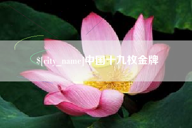 白山中国十九枚金牌