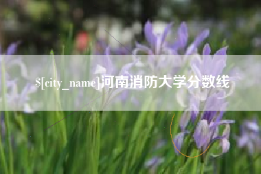 白山河南消防大学分数线
