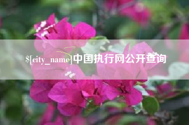 白山中国执行网公开查询