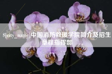 白山中国消防救援学院简介及招生章程指挥部