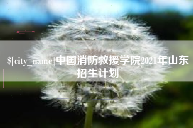 白山中国消防救援学院2021年山东招生计划
