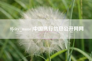 白山中国执行信息公开网网