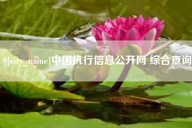 白山中国执行信息公开网 综合查询