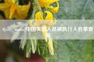 白山中国失信人员被执行人名单查询